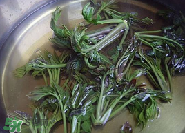 香椿為什么要用開水燙？香椿用開水燙多久？