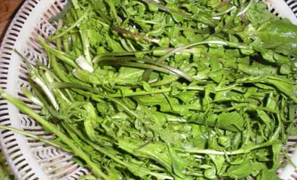 地菜是什么菜？地菜是不是薺菜