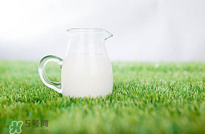 香椿可以和牛奶一起吃嗎？香椿和牛奶能一起吃嗎？