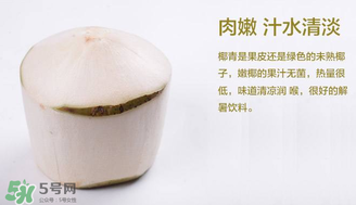 孕婦能不能喝椰青？椰青孕婦能喝嗎？