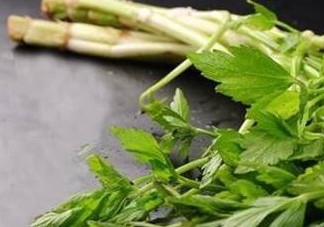 水芹菜的葉子可以吃嗎？水芹菜葉子能吃嗎