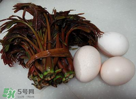 哺乳期可以吃香椿炒雞蛋嗎？哺乳期可以吃香椿炒雞蛋嗎？
