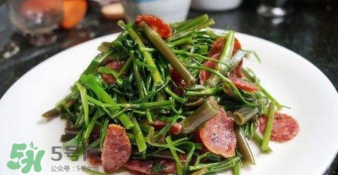 水芹菜孕婦能吃嗎？懷孕的人可以吃水芹菜嗎
