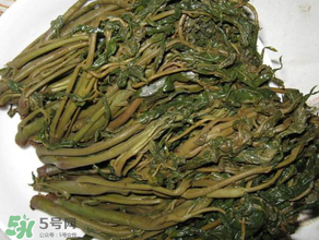 腌香椿要燙嗎？香椿腌之前用不用開水燙？