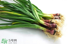 蒜苗多少錢一斤？蒜苗多少錢一斤2017？