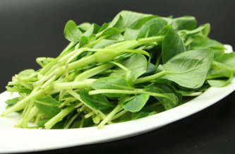 雞毛菜是什么菜？雞毛菜是小白菜嗎
