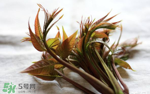 香椿怎么洗？香椿芽怎么洗干凈？