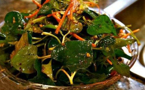 魚腥草根和葉哪個(gè)好？魚腥草根好還是葉子好