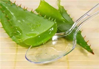 孕婦能喝蘆薈汁嗎？孕婦可以喝蘆薈汁嗎？