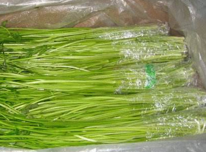 水芹菜如何保鮮？水芹菜怎么保鮮