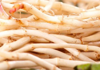 新鮮魚(yú)腥草怎么煮水？魚(yú)腥草怎么煮水喝