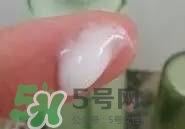 一葉子和百雀羚哪個(gè)好？一葉子和百雀羚面膜對(duì)比