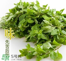 枸杞頭怎么吃？枸杞頭如何吃