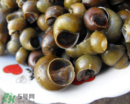 田螺可以凈化水質(zhì)嗎？田螺能凈化水質(zhì)嗎？