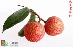 4月份有荔枝嗎？四月份有荔枝嗎？