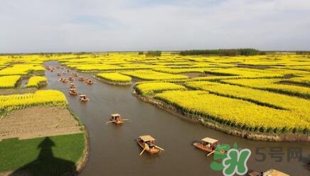 四月份去哪里旅游比較好？四月份最適合旅游的地方