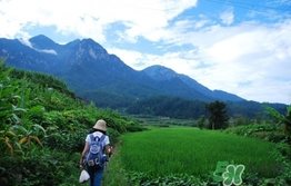 四月份去哪里旅游比較好？四月份最適合旅游的地方