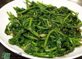 枸杞頭怎么吃？枸杞頭如何吃