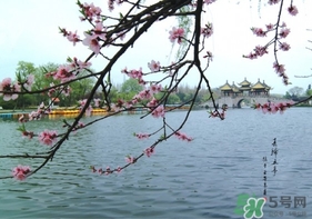 四月份去哪里旅游比較好？四月份最適合旅游的地方