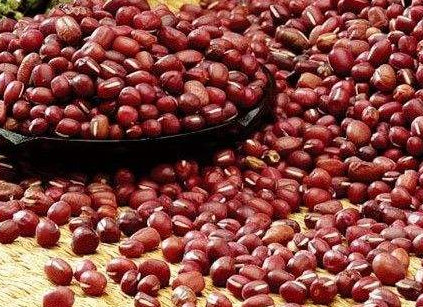 赤小豆是赤豆嗎？赤小豆是紅小豆嗎