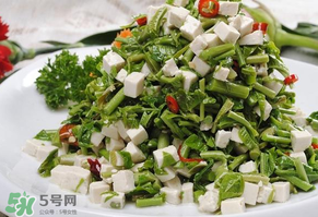 香椿可以助孕嗎？香椿有助孕的功效嗎？