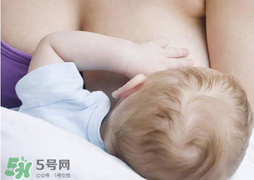 香椿會(huì)回奶嗎？吃香椿會(huì)回奶嗎？