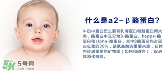 A2奶粉分幾種？A2奶粉有幾個(gè)種類？