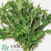 艾蒿能吃嗎？艾蒿能做菜吃嗎