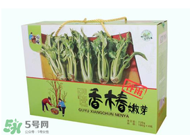 香椿能泡茶嗎？香椿茶的功效與作用