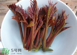 香椿和雞肉可同吃嗎？香椿和雞肉能一起吃嗎？
