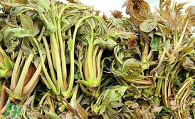 香椿和平菇能一起吃嗎？香椿和香菇能一起吃嗎？