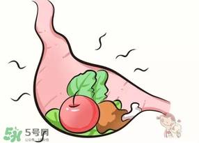 吃香椿會(huì)上火嗎？香椿吃多了會(huì)上火嗎？