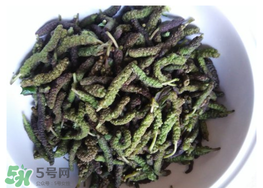 蒸構(gòu)樹花兒孕婦可以吃嗎？孕婦可以吃蒸構(gòu)樹花兒嗎？