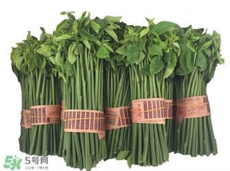 樹仔菜有毒嗎？樹仔菜有沒有毒？