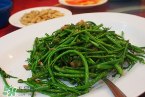 樹仔菜有毒嗎？樹仔菜有沒有毒？