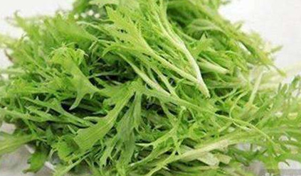 苦苣菜能生吃嗎？苦苣菜可以生吃嗎