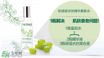 歐緹麗和悅木之源哪個好？歐緹麗皇后水和悅木之源菌菇水