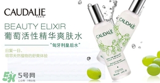 歐緹麗和悅木之源哪個好？歐緹麗皇后水和悅木之源菌菇水