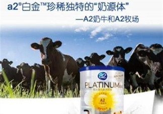 A2奶粉分白金和鉑金嗎？A2奶粉白金鉑金有區(qū)別嗎？