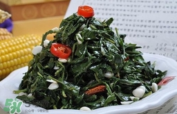 苦菜對(duì)人有什么好處？苦菜有什么功效