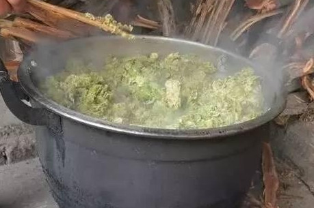 榆錢怎么蒸？蒸榆錢的做法