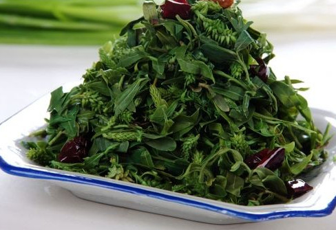 孕婦可以吃刺兒菜嗎？孕婦能吃刺兒菜嗎