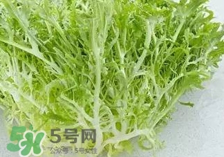 苦菊能涮火鍋吃嗎？苦菊可以涮火鍋嗎