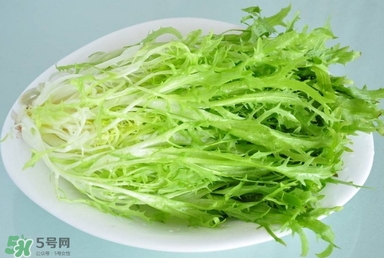 苦苣根哪里有賣？苦苣根茶在那里買的到