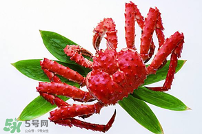 香椿能和海鮮一起吃嗎？香椿和海鮮能一起吃嗎？