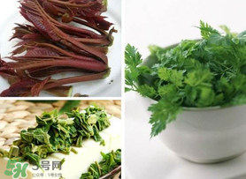 香椿和香菜能一起吃嗎？香椿和香菜怎么做？