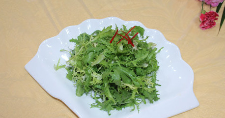 苦菊能和雞蛋一起吃嗎？苦菊可以和雞蛋一起吃嗎