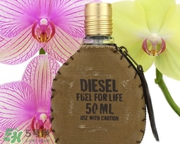 diesel迪塞爾是什么牌子？diesel是哪個(gè)國家的？