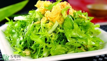苦菊能和豆腐一起吃嗎？苦菊可以和豆腐一起吃嗎