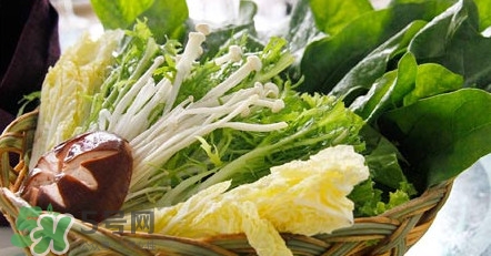 苦菊能涮火鍋吃嗎？苦菊可以涮火鍋嗎